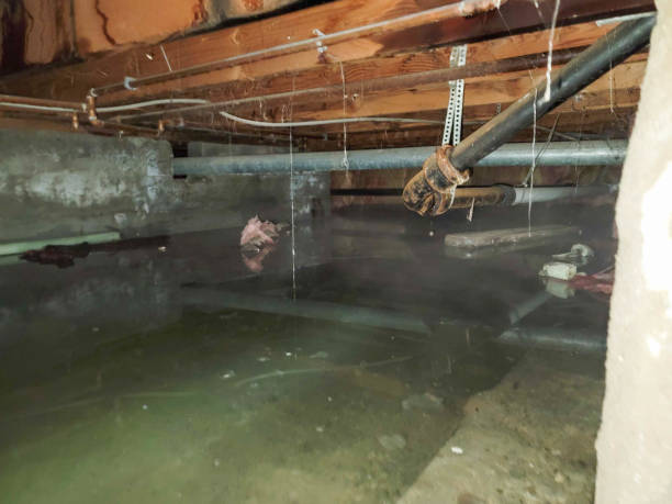 Best Water damage restoration near me  in Auburndale, FL