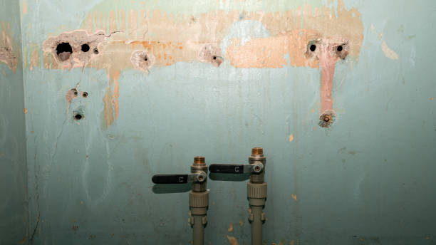 Best Sewage cleanup and water damage restoration  in Auburndale, FL