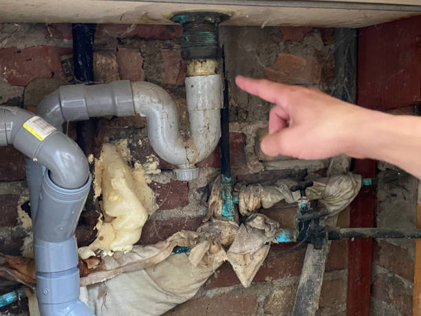 Best Basement water damage restoration  in Auburndale, FL