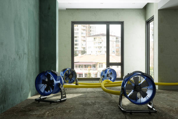 Best Commercial water damage restoration  in Auburndale, FL